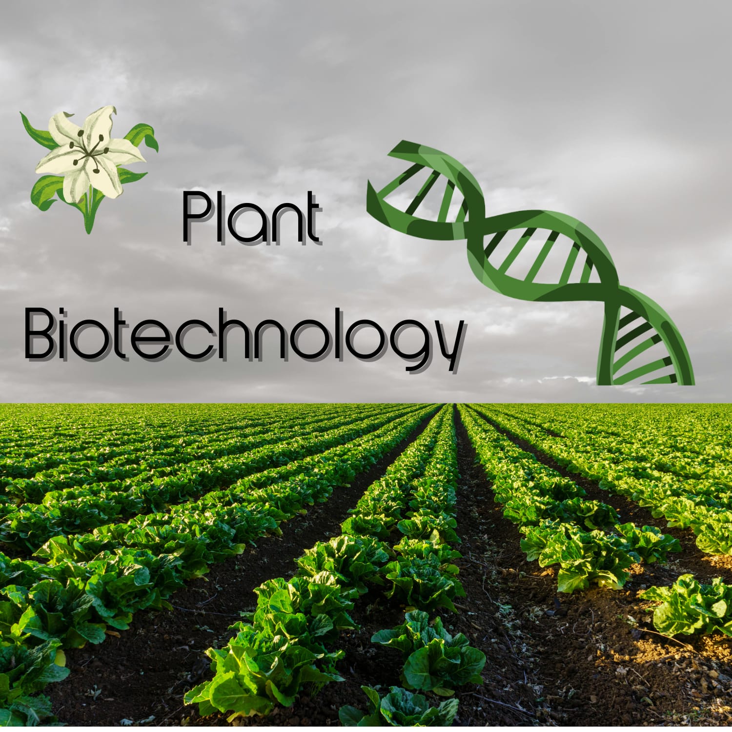التقنية الحيوية النباتية