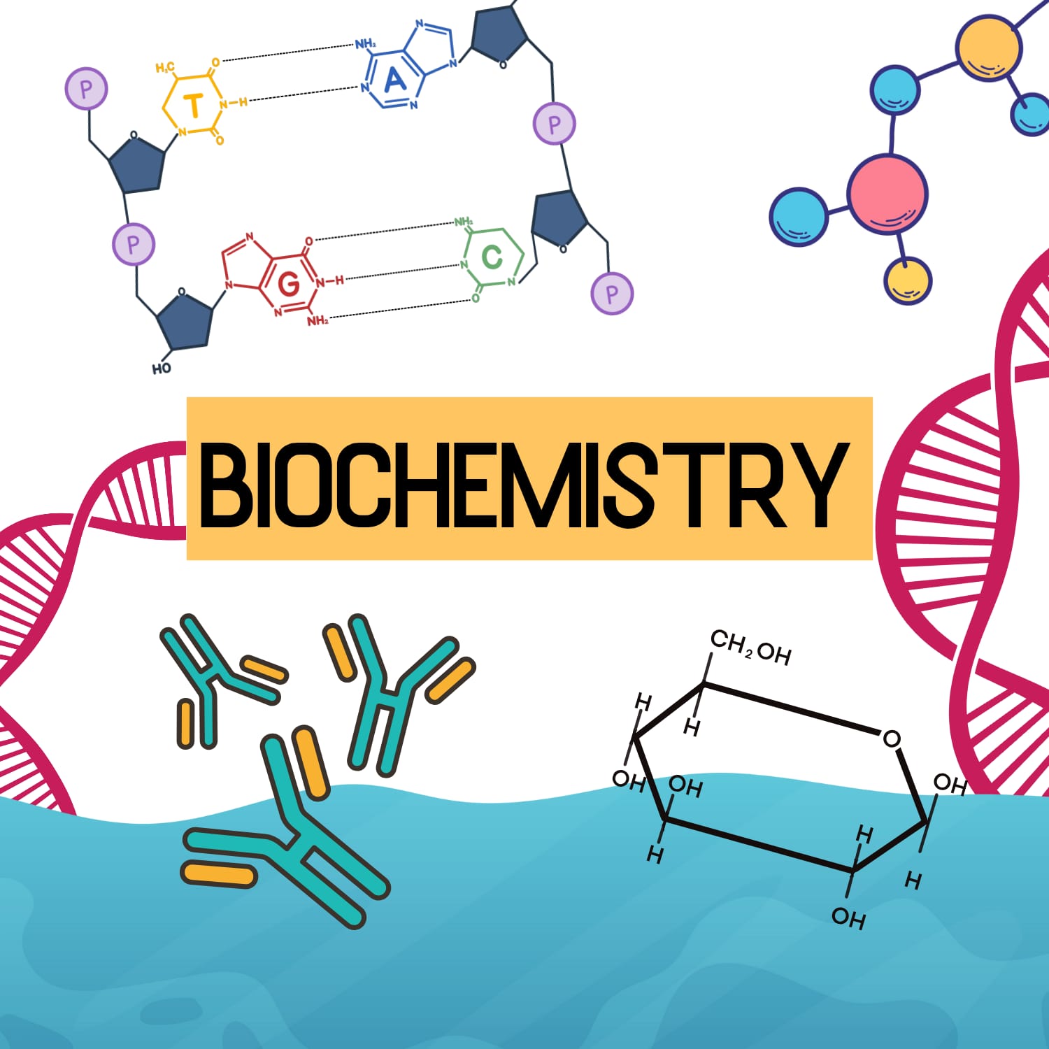 كيمياء حيوية-Biochemistry - المدينة المنورة