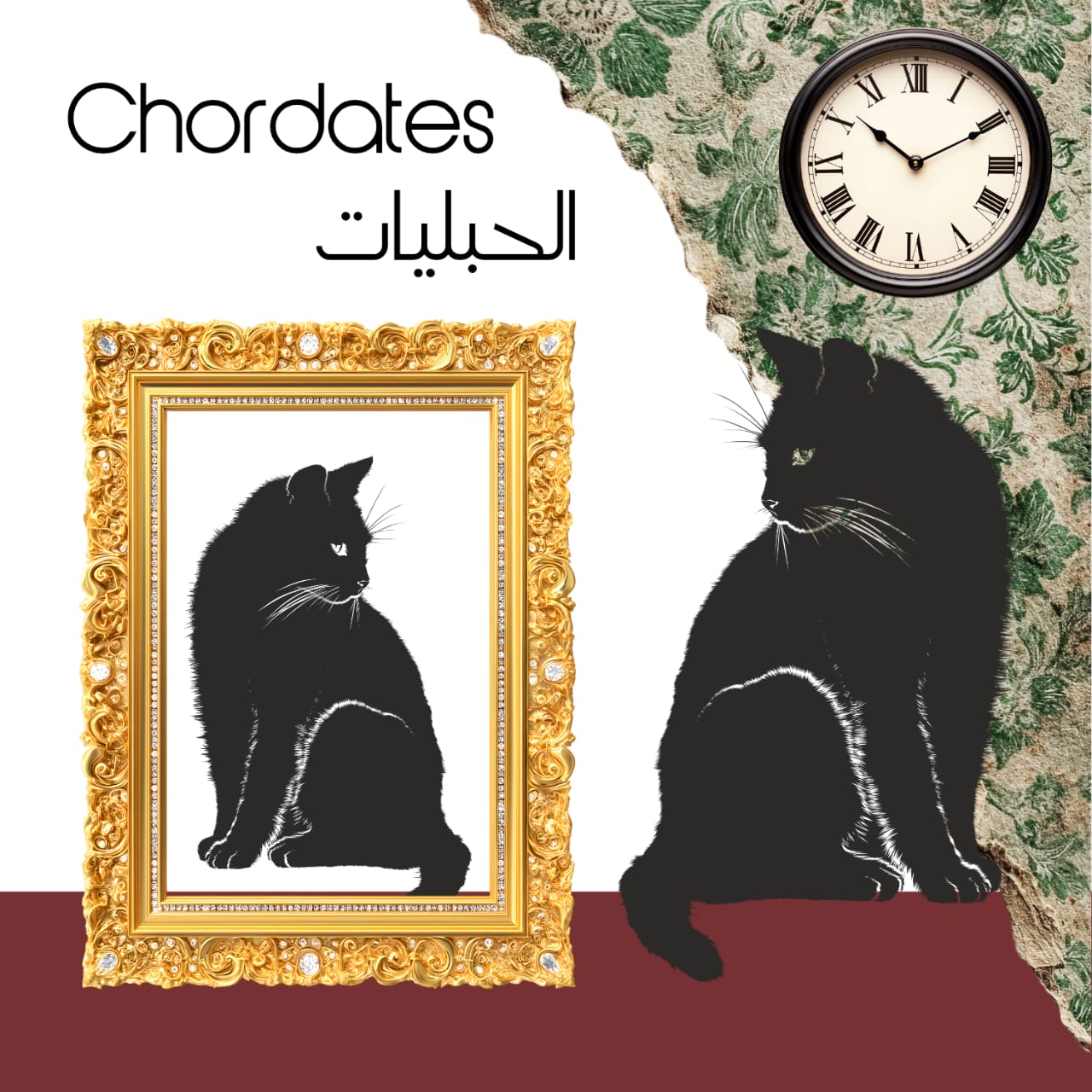 حبليات - كل الفروع