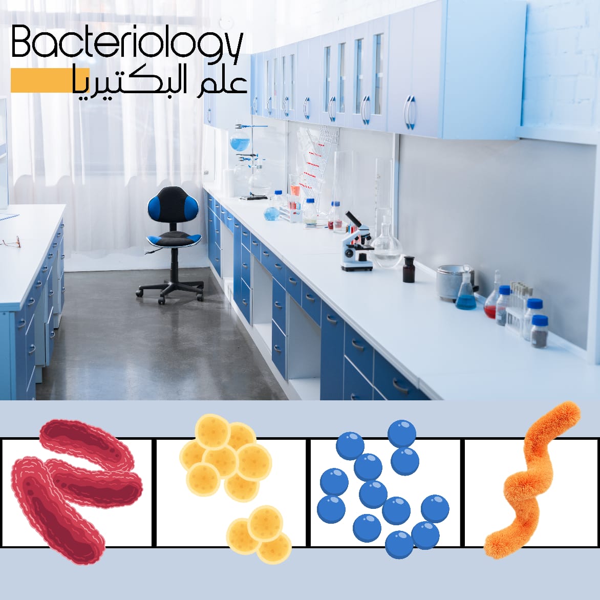 علم البكتيريا - كل الفروع