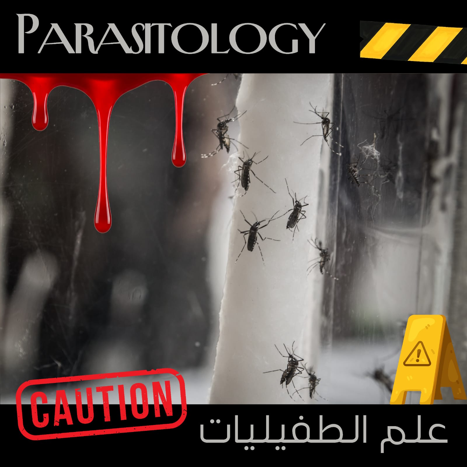 علم الطفيليات - كل الفروع