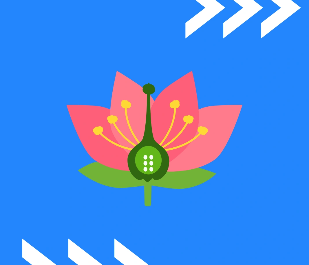 مواضيع خاصة في علم النبات - كل الفروع