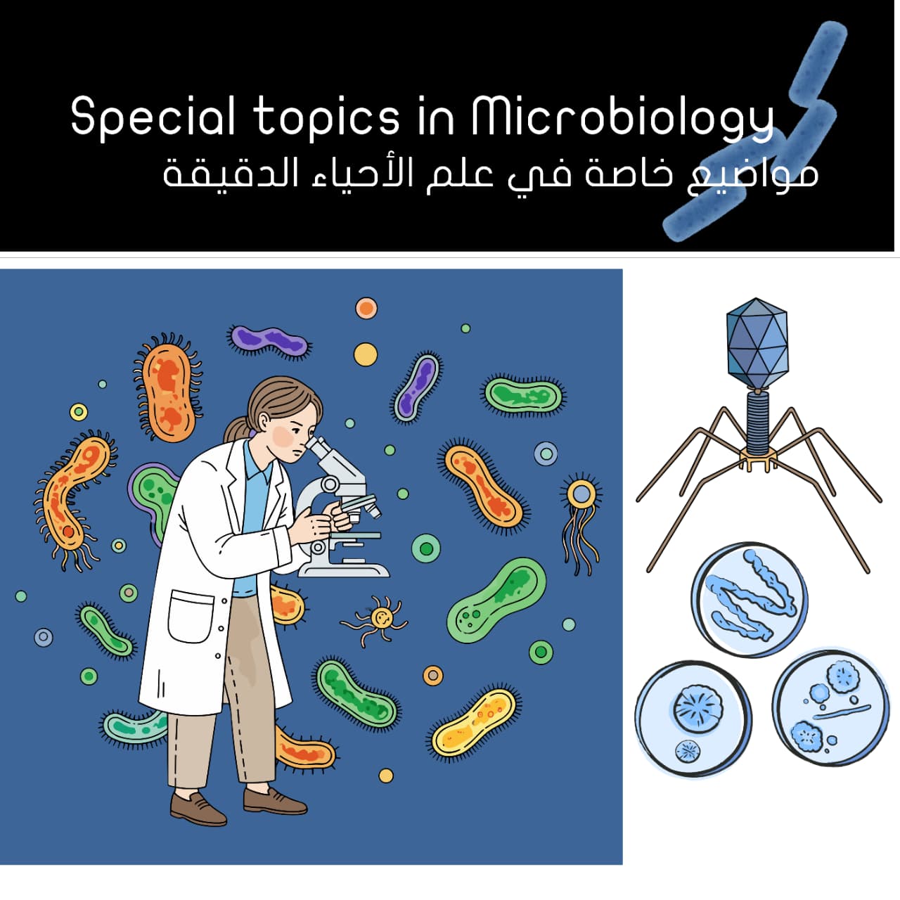 مواضيع خاصة في علم الأحياء الدقيقة - كل الفروع
