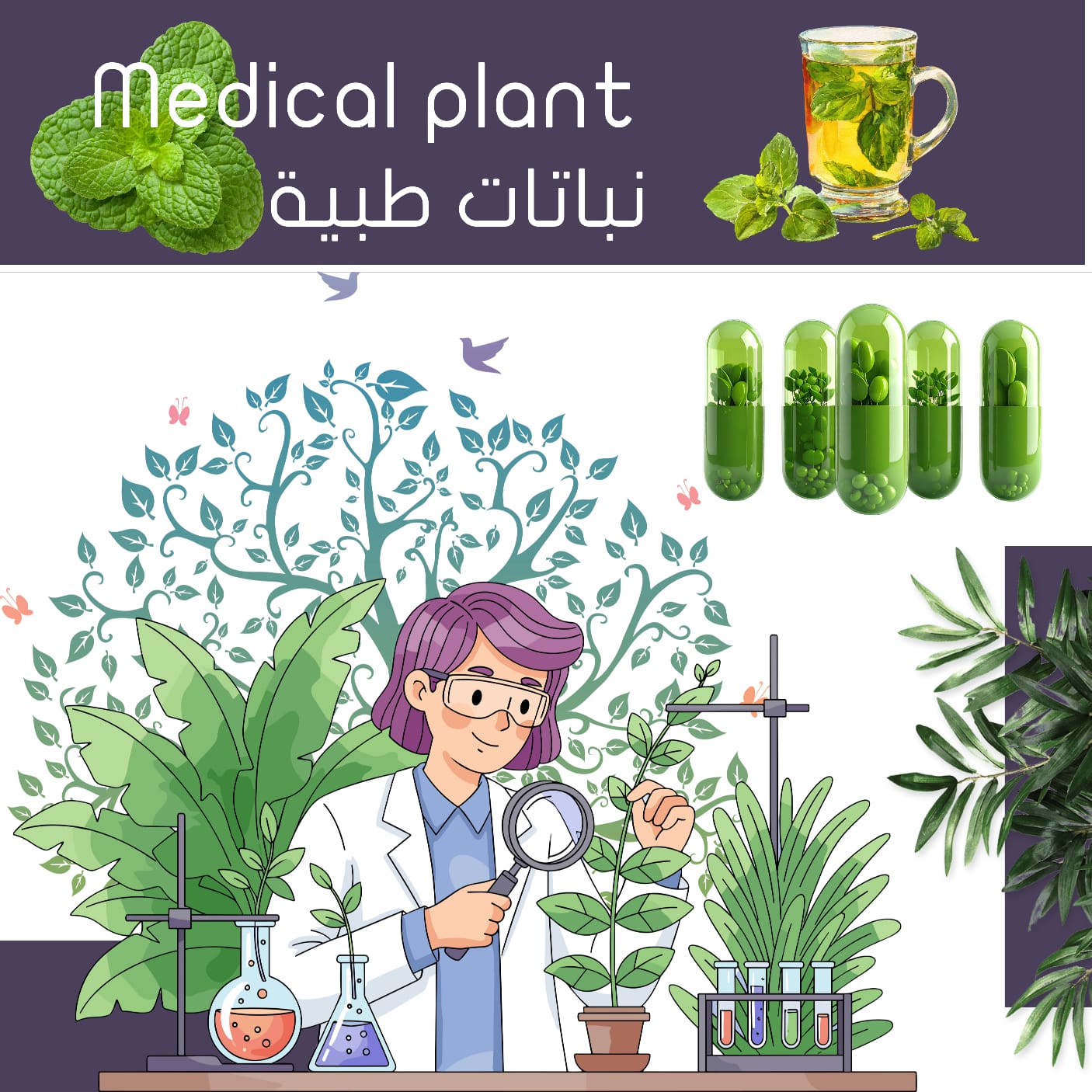 نباتات طبية - كل الفروع