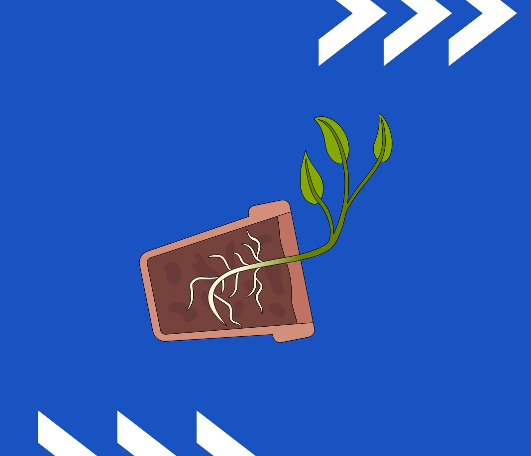 فسيولوجيا نبات - كل الفروع