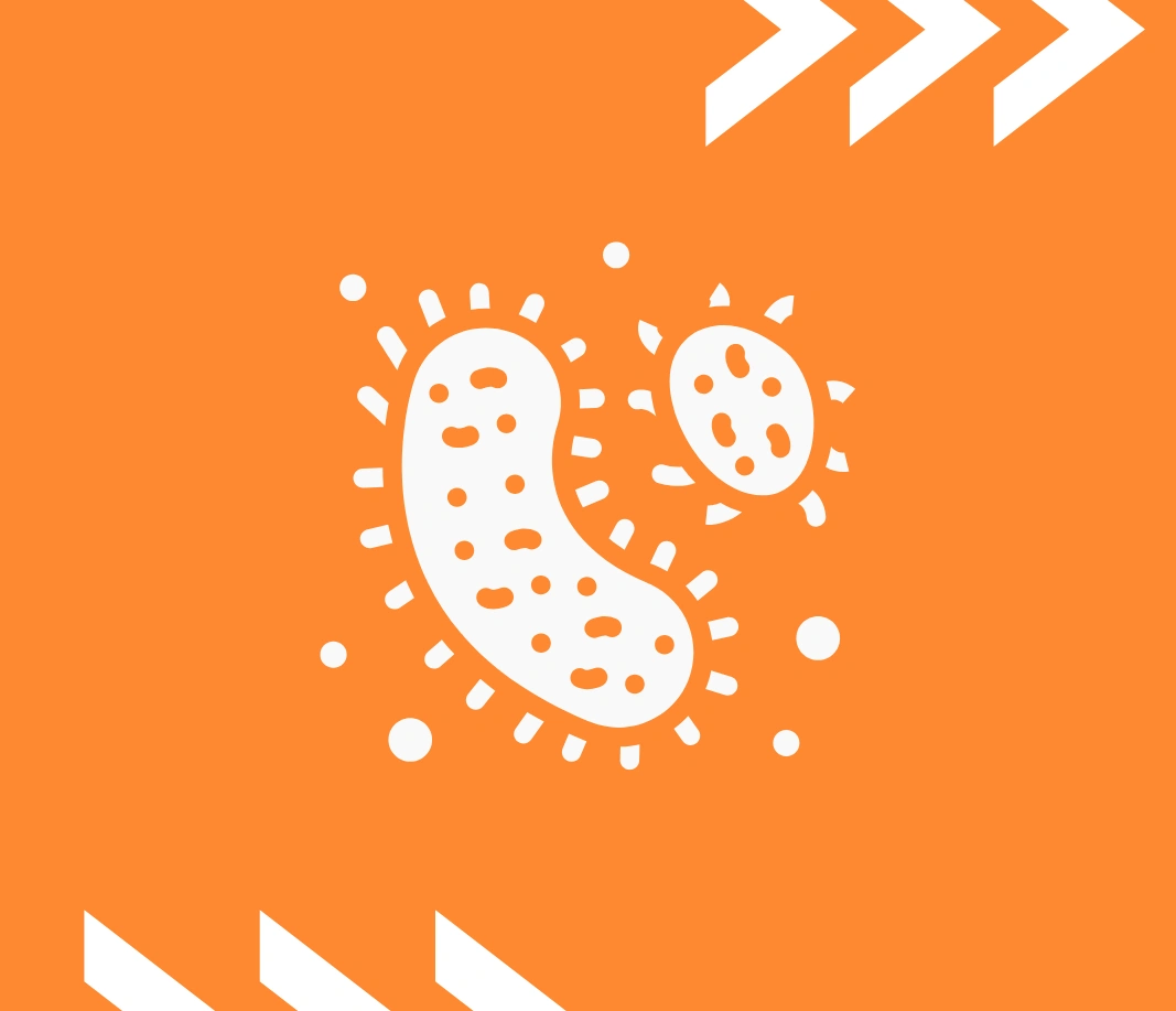 فسيولوجيا الميكروبات - كل الفروع