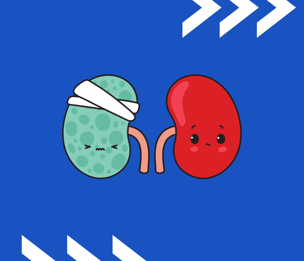 أحياء طبية - كلية الشمال