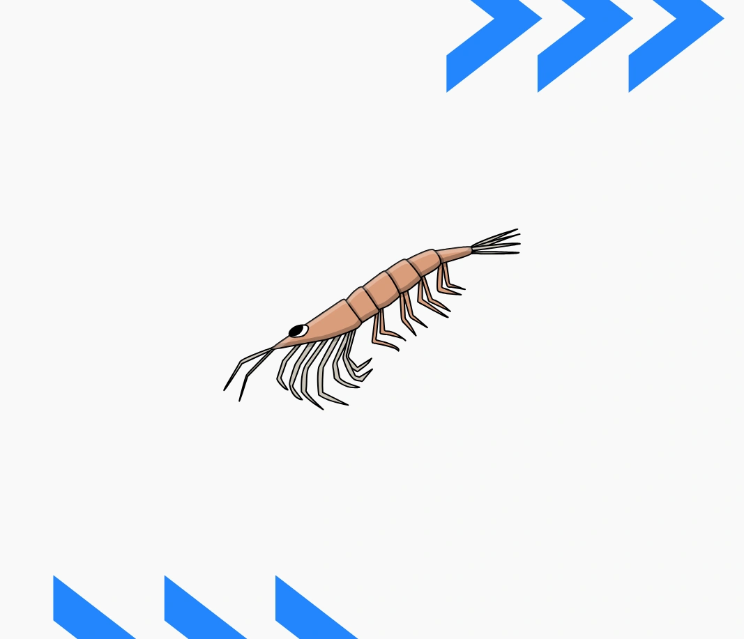 لافقاريات - كل الفروع