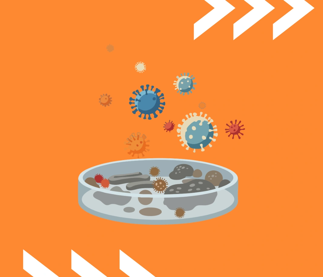 أحياء دقيقة بيئية - كل الفروع