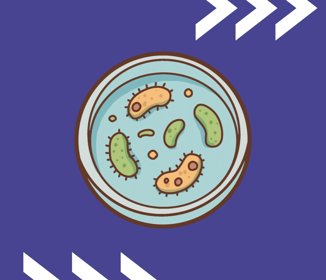 اساسيات علم الأحياء الدقيقة