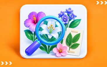 تصنيف نباتات زهرية - المدينة المنورة