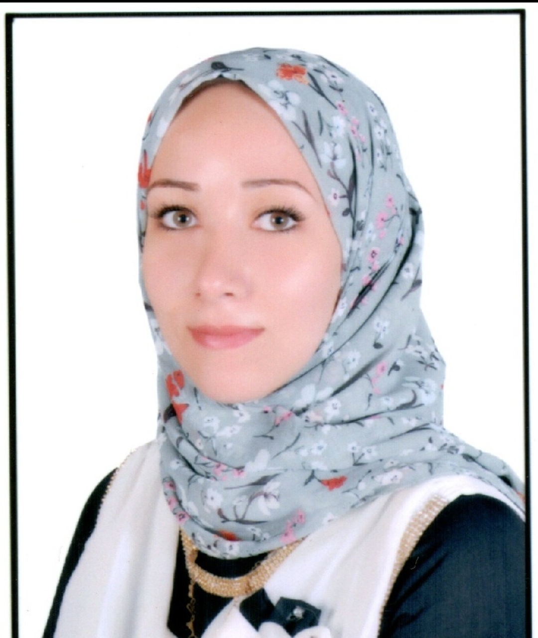  Aliaa AbouElhamd Ibrahim 